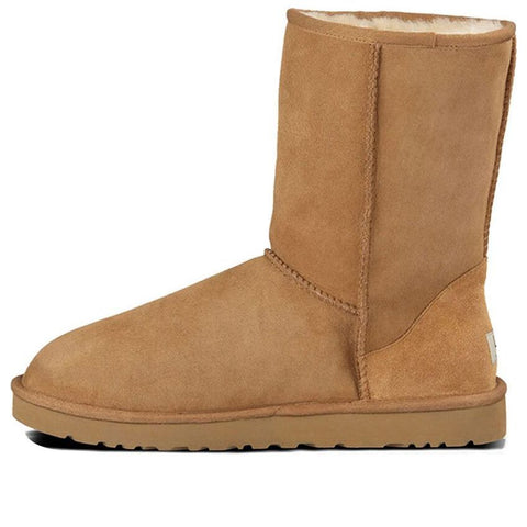 Male UGG CLASSIC SHORT Snow boots 5800-CHE - TJ Outlet